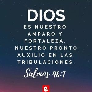 Meet your Posher, Rosa